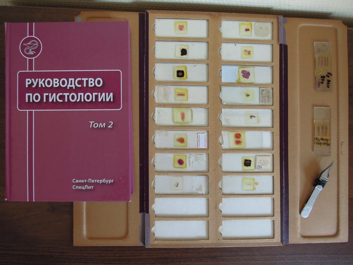 Тематический план гистология кфу