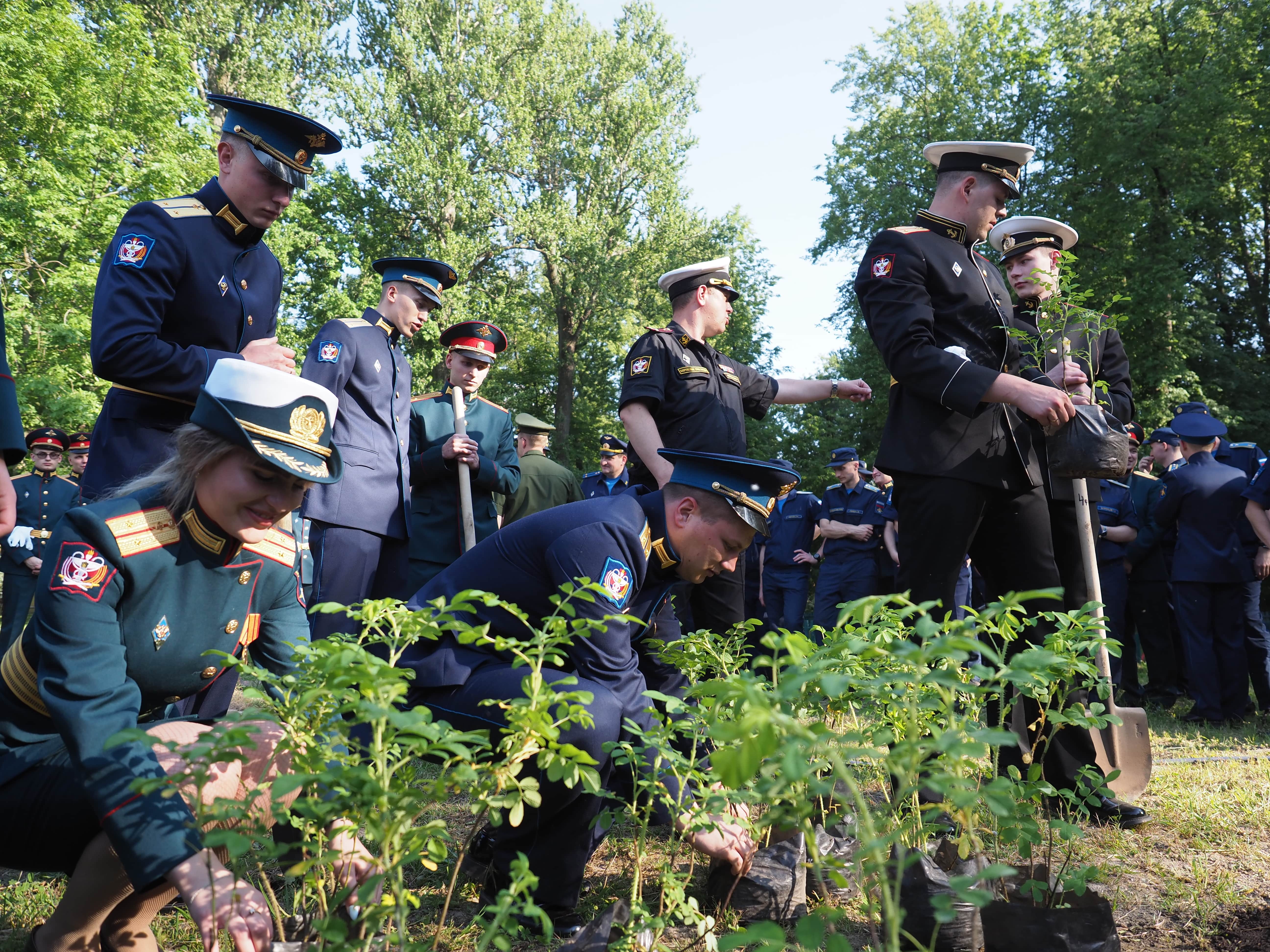 О выпуске военных врачей 2019 года будут напоминать кусты шиповника в парке академии