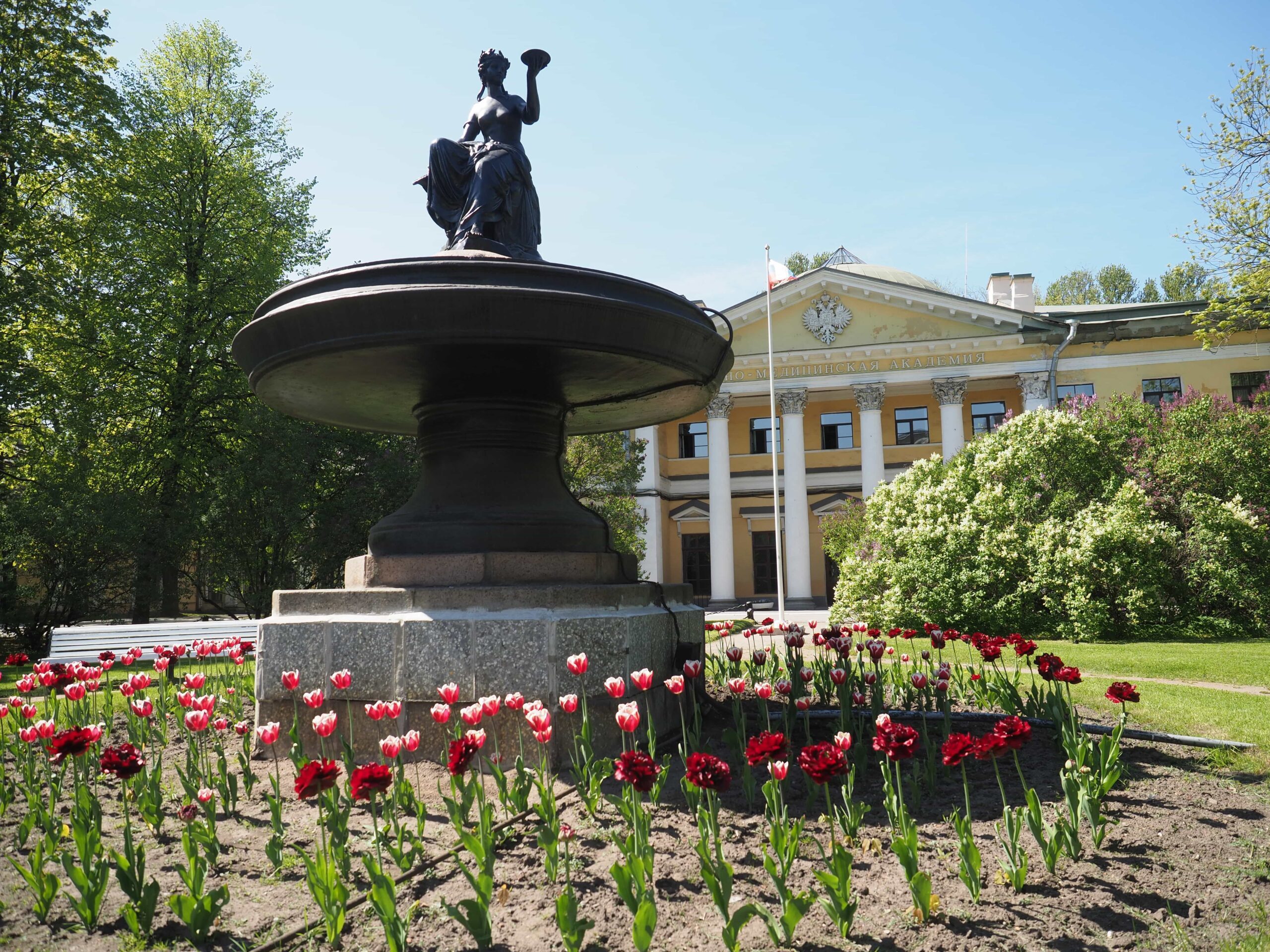 Вмеда санкт петербург