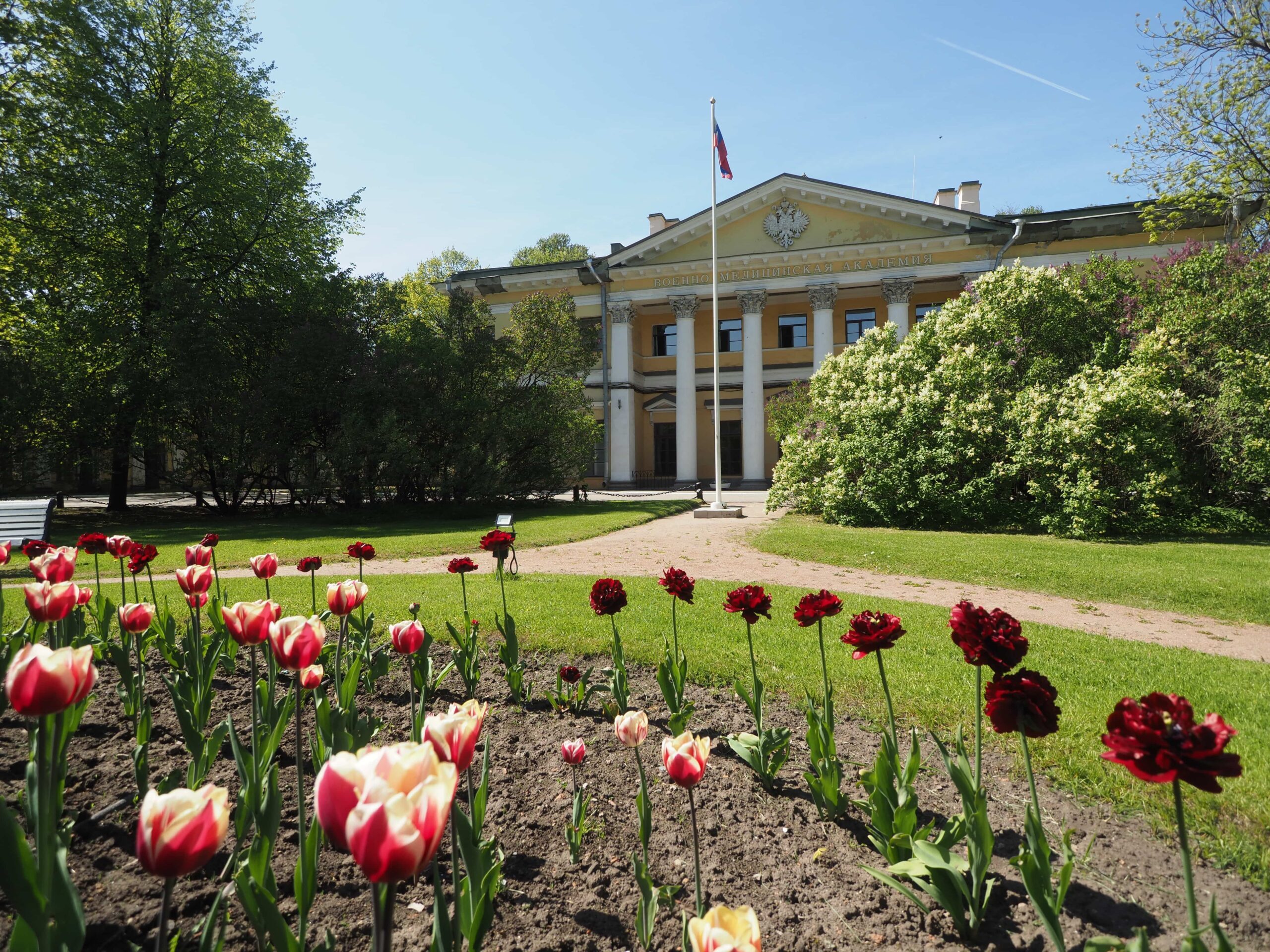 В Военно-медицинской академии расцвели тюльпаны «Николай Пирогов»