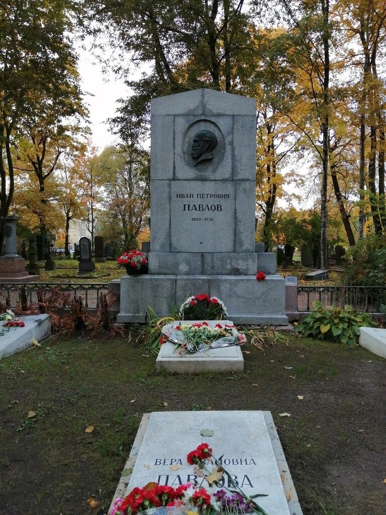 Похоронены в иваново. Могила Павлова Ивана Петровича. Могила Академика Павлова.