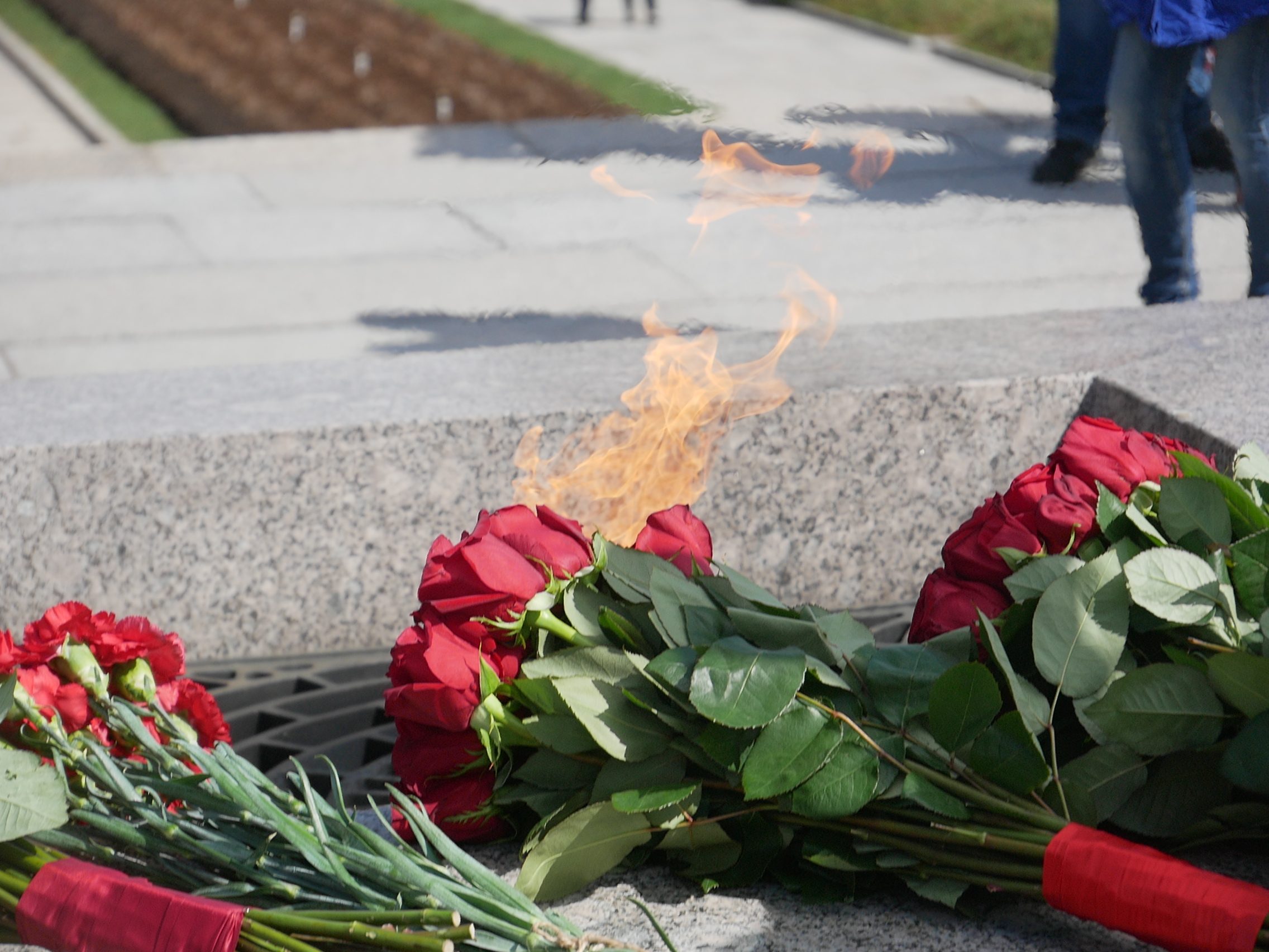Военно-медицинская академия почтила память павших в Великой Отечественной войне