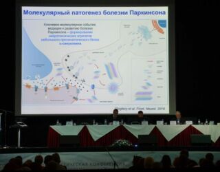Пленарное заседание. Доклад заместителя начальника Научного центра неврологии РАН член-корреспондента РАН доктора медицинских наук профессора Иллариошкина С.Н.